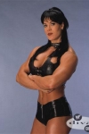 Former-WWE-Divas-image-former-wwe-divas-36797865-340-400.jpg